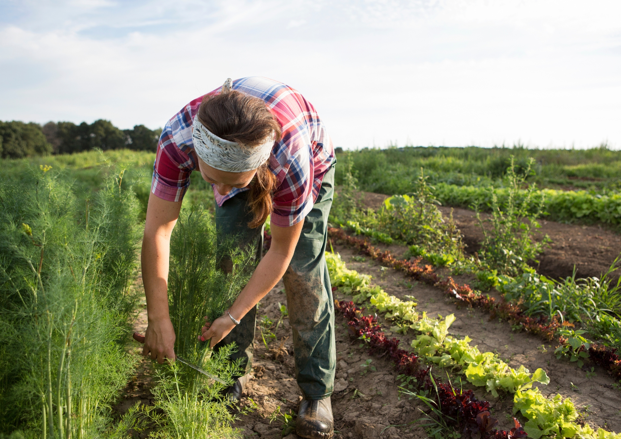IMAGEN-PANEL-DE-ENTIDADES