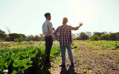 Formación en agricultura, industria alimentaria y sostenibilidad para jóvenes en exclusión y personas trabajadoras