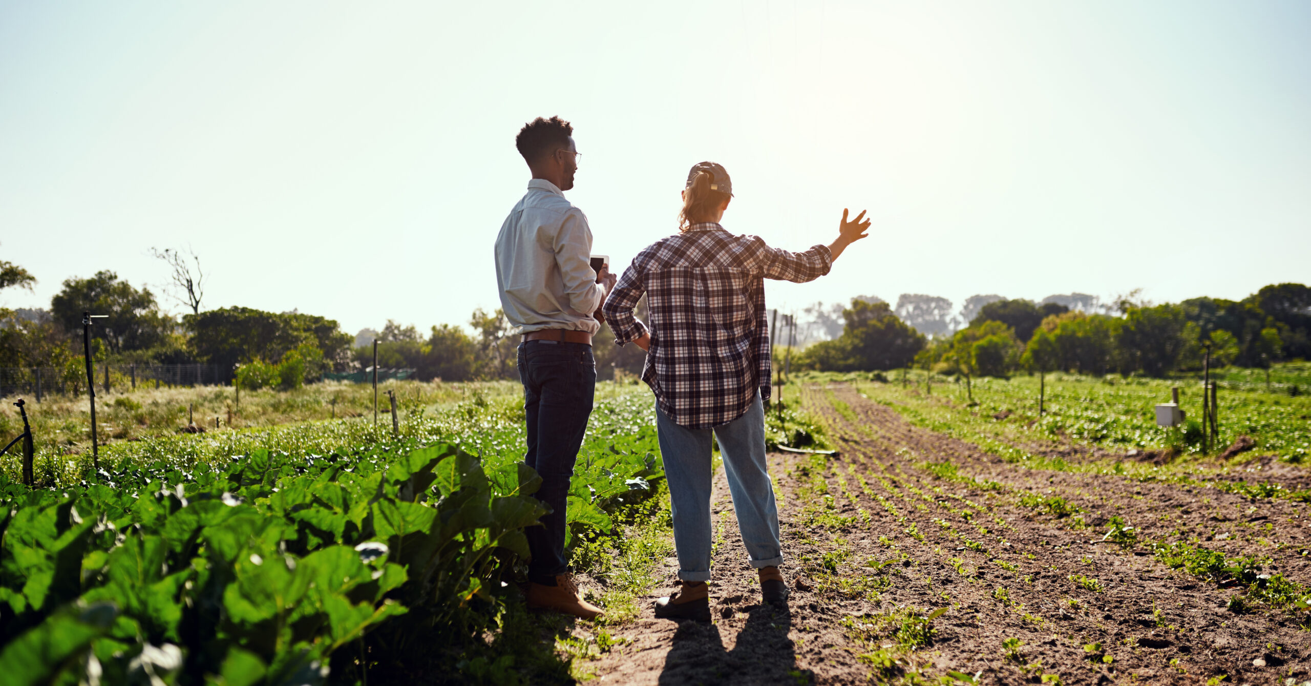 Live life to the greenest. Rearview shot of two young farmers looking at a tablet while working on their farm.
