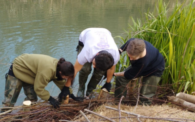 EmpleaXúquer: aprender trabajando a restaurar, promover y proteger el ecosistema fluvial del Júcar