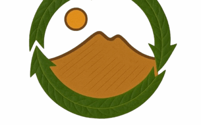 REVERDECE: nuevos nichos de empleo en economía circular para personas con discapacidad intelectual