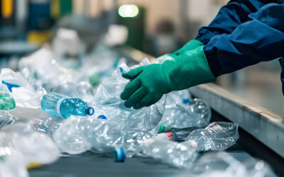 TRR Profesional: pioneros en Formación Técnica de Economía Circular del Plástico