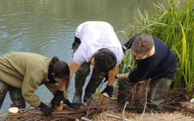 Recibimos 231 propuestas para proyectos transformadores en el ámbito del empleo verde