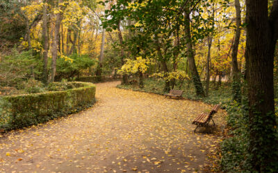 GERMINAVA: Escuela Municipal de Jardinería SOSTENIBLE, Medio ambiente y Renaturalización Urbana