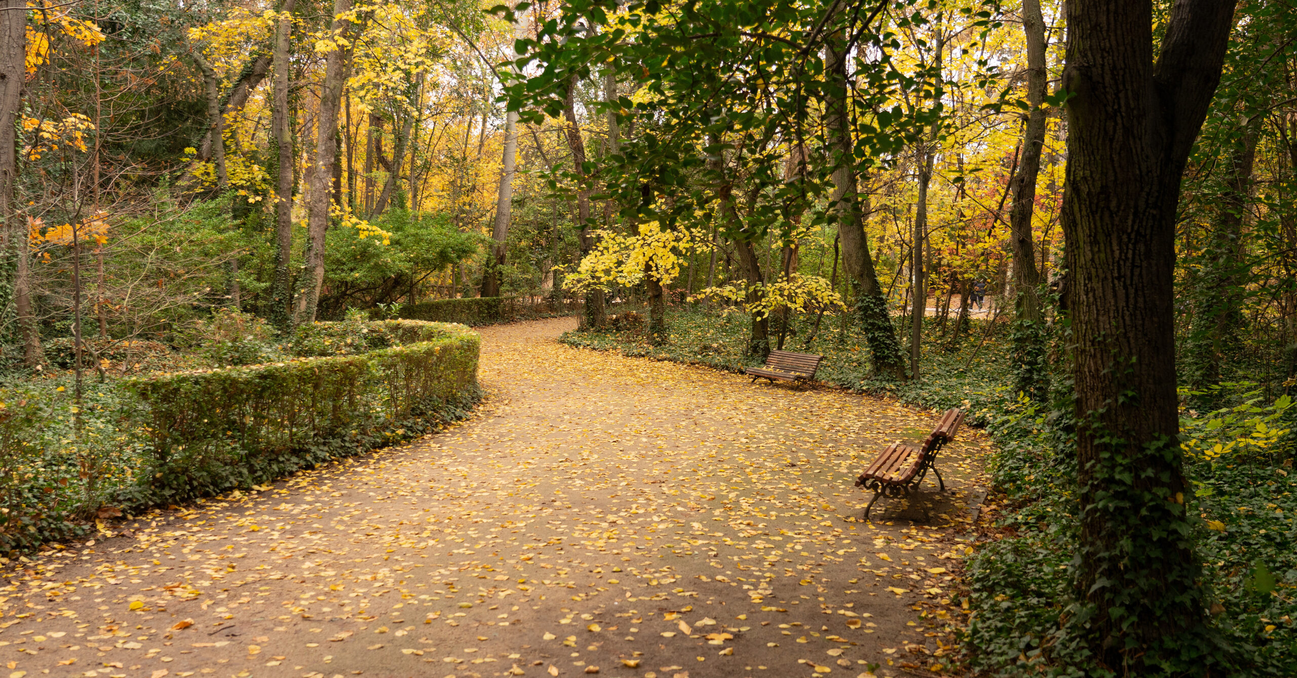 VALLADOLID, SPAIN – DECEMBER 03, 2023: Big garben (Campo grande)