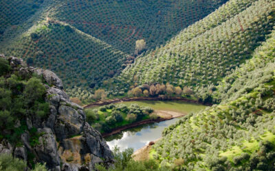 Formación en turismo de naturaleza, agricultura y renaturalización en Adamuz