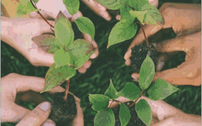 Nace GreenJobsLab: una iniciativa para impulsar la formación y el empleo verde mediante la innovación