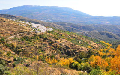 Agentes eco-rurales para la restauración de ecosistemas