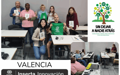 Inserta Innovación lanza el segundo curso de Asesoría Energética dentro del Programa Empleaverde+