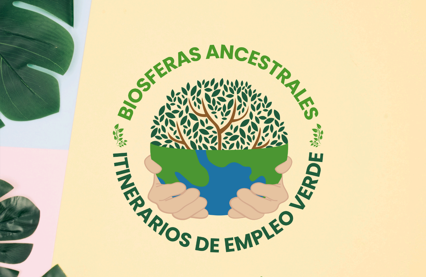 Captura de pantalla 2025-12-02 122604