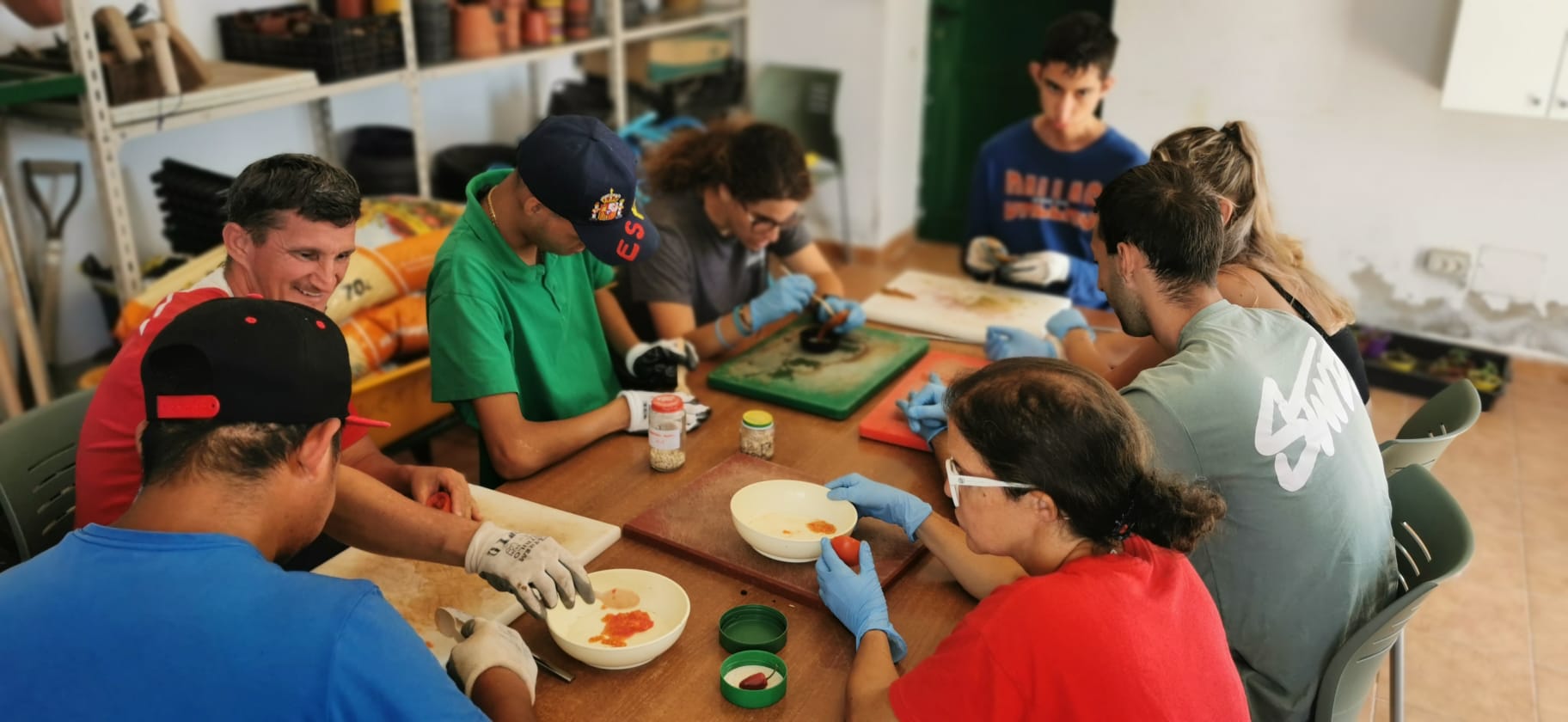 Un grupo de personas de diferentes edades y género está trabajando en un proyecto manual.