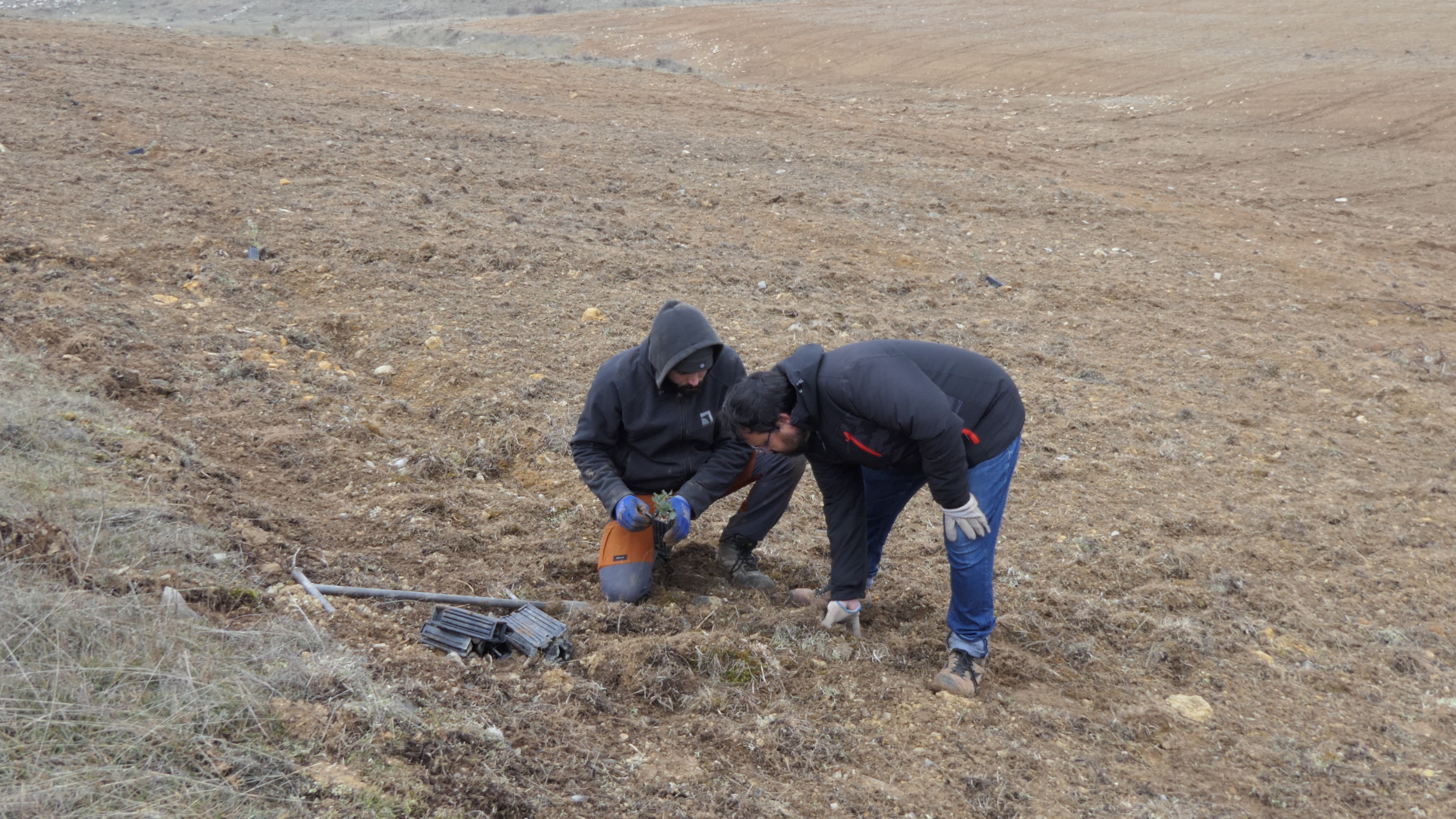 Un año formando profesionales para el sector de la truficultura