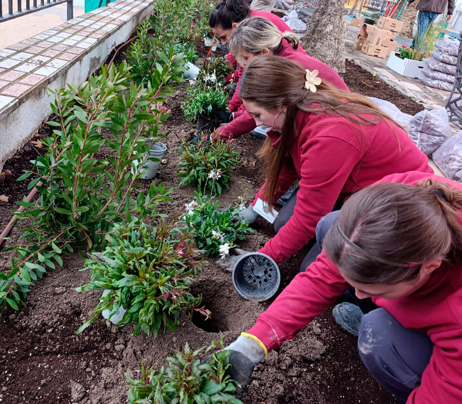 El Programa Empleverde+ termina en Moriles generando empleo femenino y soluciones para la gestión del agua