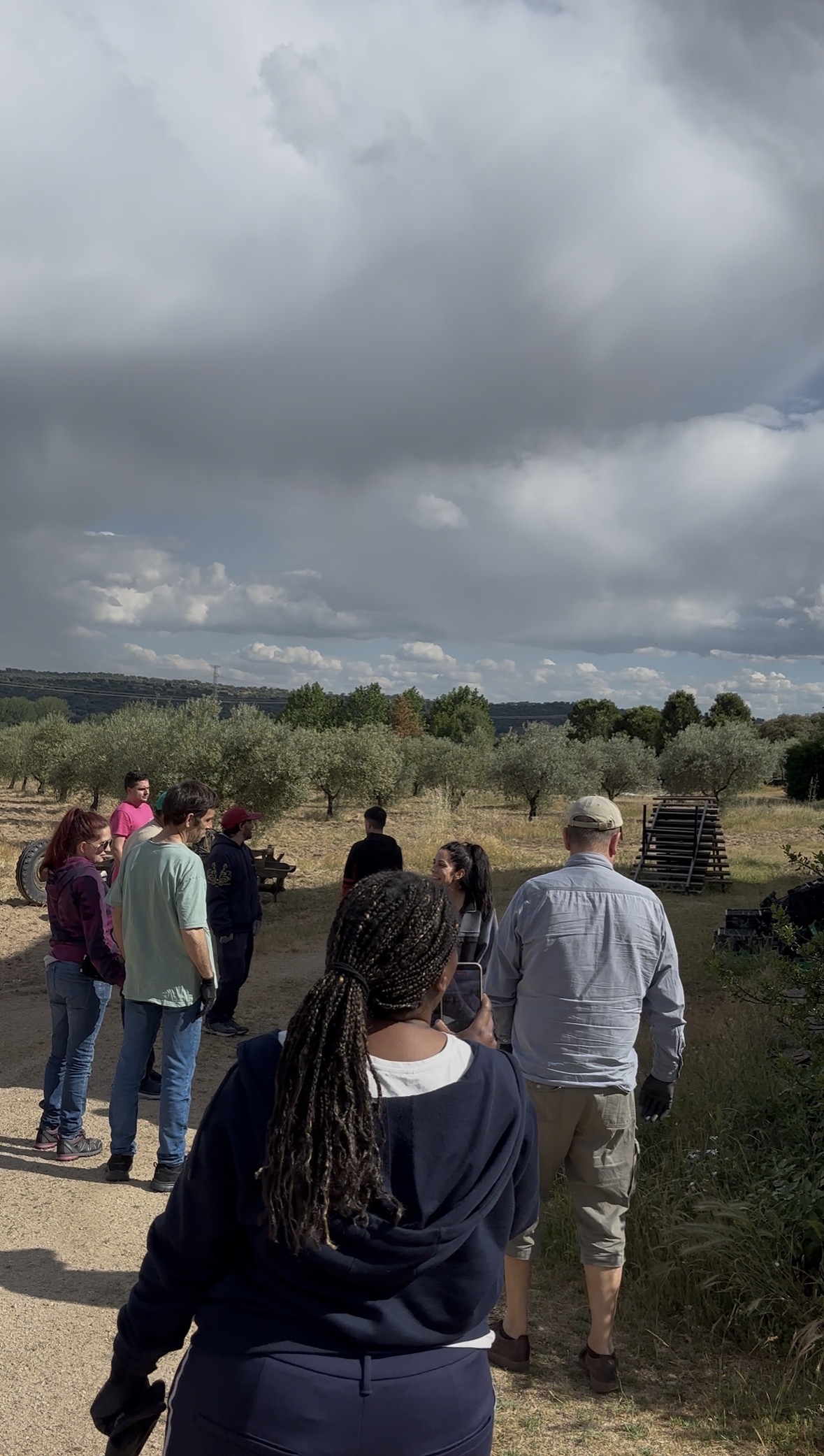 Comienza el curso de Jardinería, arbolado y envolventes vegetales en Villa del Prado del proyecto “Sin dejar a nadie atrás”