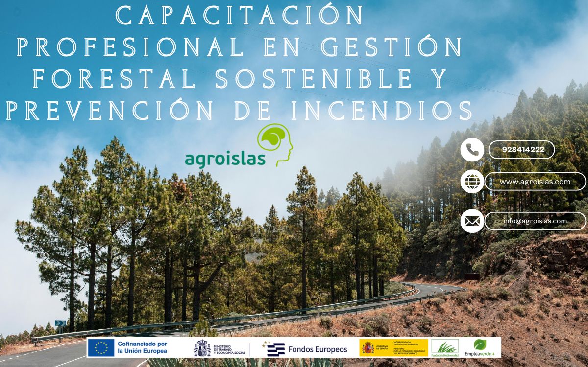 Capacitación Profesional en Gestión Forestal Sostenible y Prevención de Incendios