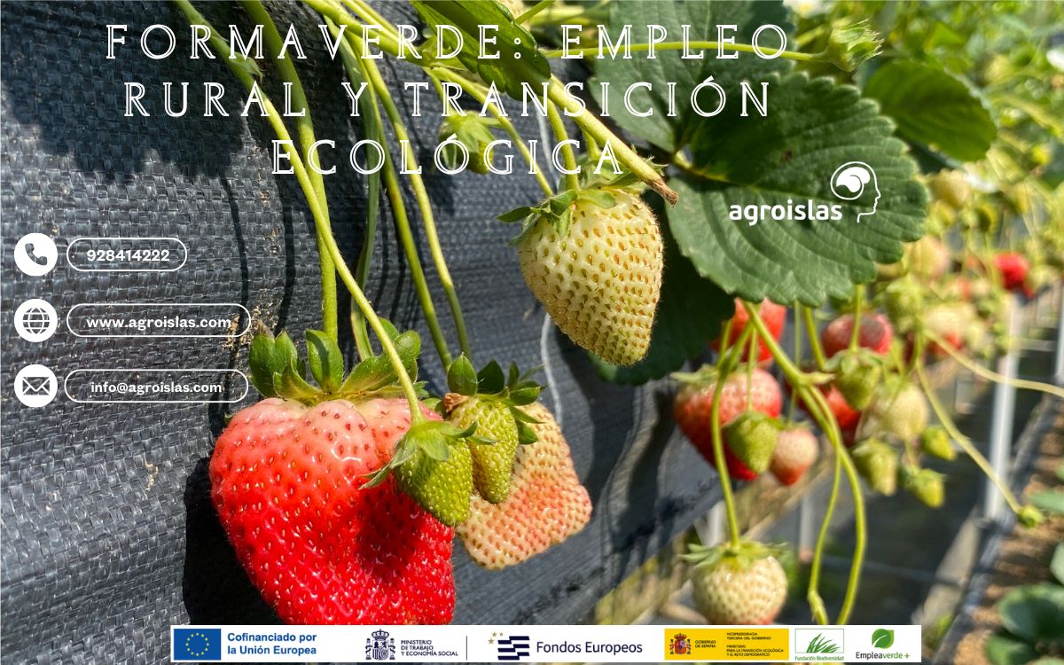 Formaverde: Empleo Rural y Transición Ecológica